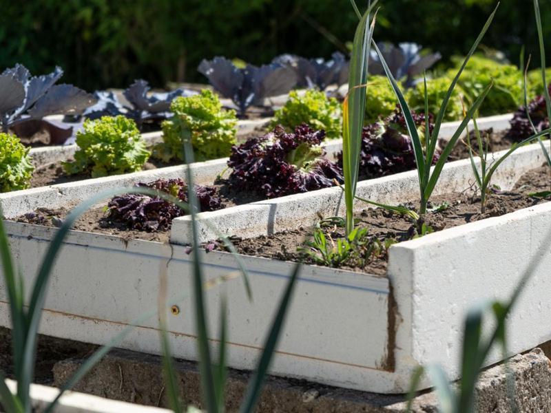 Quinta De Carcavelos Natures Home 阿马兰特 外观 照片